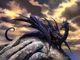 hình rồng cực đẹp 4913c7c0_black_dragon