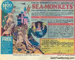 sea monkeys