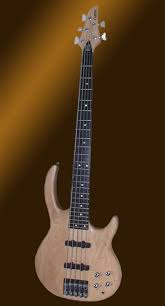 carvin 5 string bass