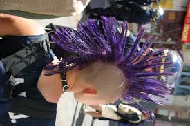 http://t0.gstatic.com/images?q=tbn:vITg9iSDM19KrM:http://www.hairstyles53.com/wp-content/uploads/2007/11/punk-hair.jpg
