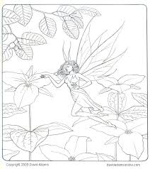 mushroom coloring pages
