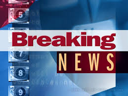 Bay News 9 gallery