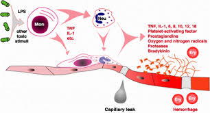 Sepsis can be detected when