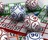 bingo software