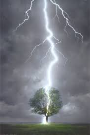 lightning striking a tree