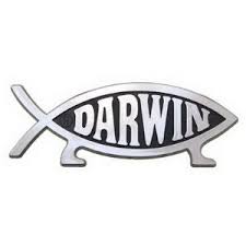 darwin sticker