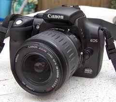 canon e 300