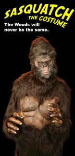 bigfoot or sasquatch