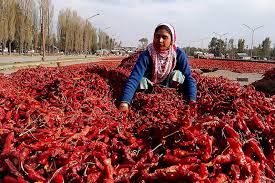 hot chilli woman