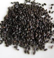 thai basil seed