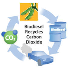 biodiesel energy
