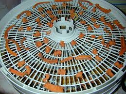 dried carrot