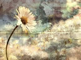 http://t0.gstatic.com/images?q=tbn:vodQ9hPcxak5BM::&t=1&usg=__efGuwKN23-I7iZB4PQ1mt3zmHw0=
