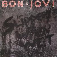bon jovi slippery when wet cd
