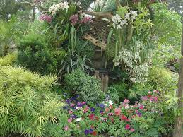small flower garden pictures