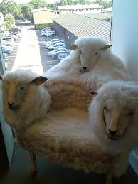 weird furniture