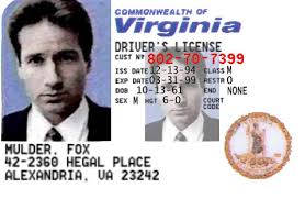 fake id