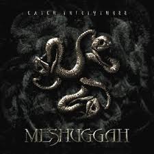 catch 33 meshuggah
