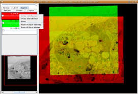 color overlays
