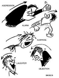 anger and aggression