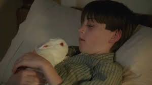 chasing his white rabbit: - white_rabbit-youngben
