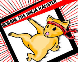 ninja hamster