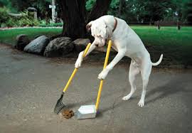 dog scoopers