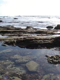 tidepools