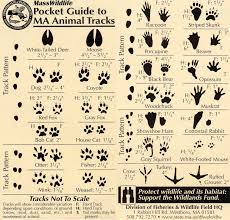 recycling printables