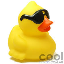 rubber duck