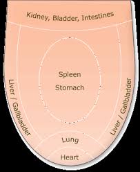 ayurvedic tongue diagnosis