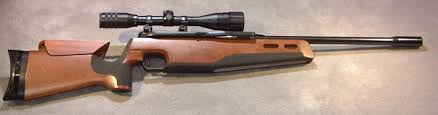 anschutz rifles