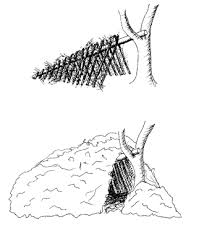 simple shelter