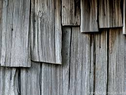 old wood