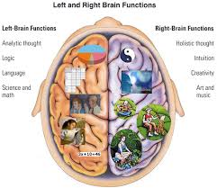 what is language uses and functions