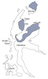 tobelo