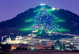 christmas tree displays