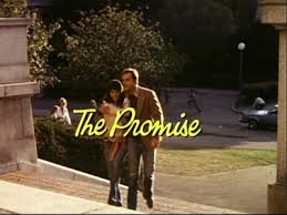 danielle steel the promise