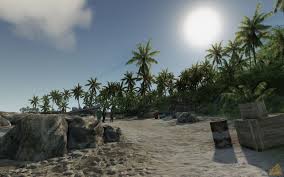 crysis max