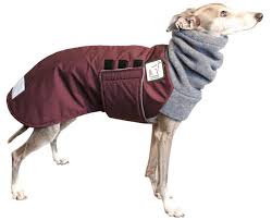 Google Image Result for...