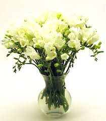 freesias