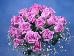اهدي الوردة للعضو الي بتحبو عند الرقم 5 - صفحة 6 641581nmyi0167bjxd1