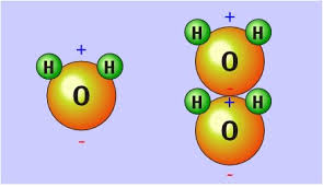 water molecule