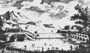 sugar plantation