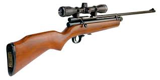 co2 bb guns