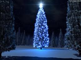 sapin de noel