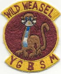 wild weasel