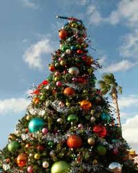 christmas tree outdoor