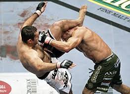 ufc mma