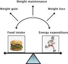 energy balance